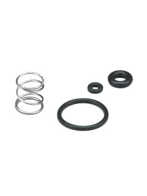 Paraplate Wand Valve Seal Kit - Without Stem